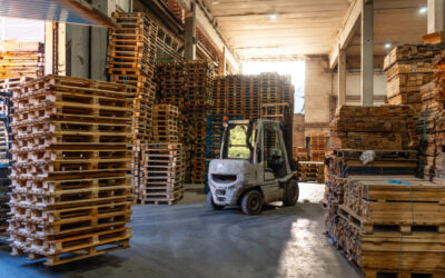 Sezonowe skoki zapotrzebowania w magazynie – jak przygotować firmę na wzmożony ruch?