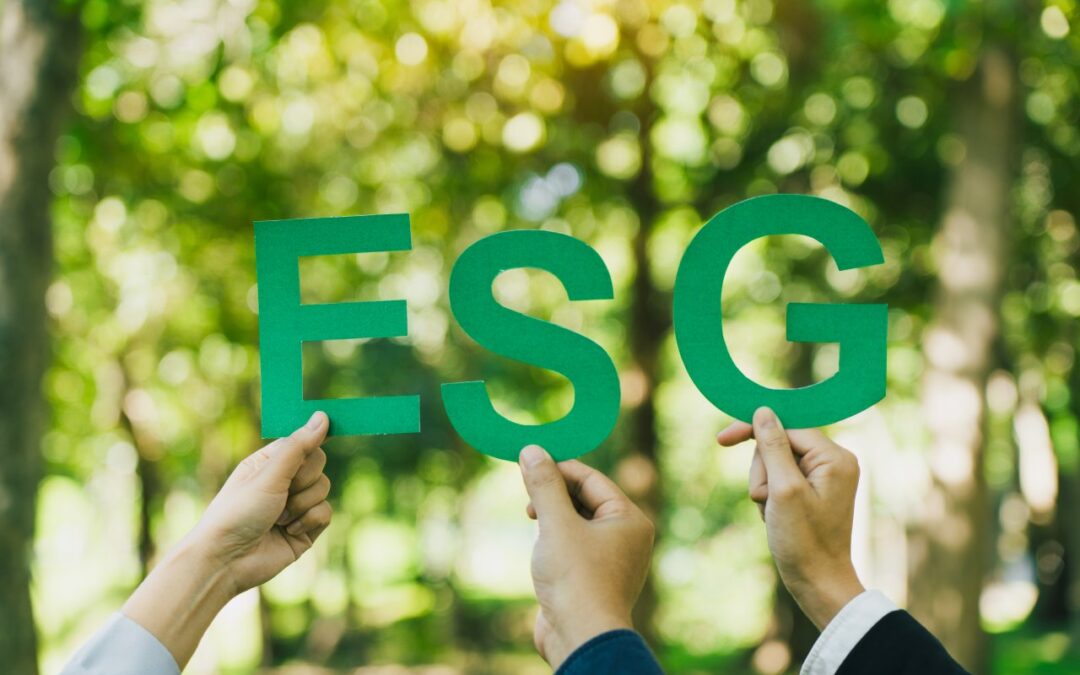 VSME w praktyce. Jak mała firma może uporządkować dane ESG bez rozbudowanego raportowania?